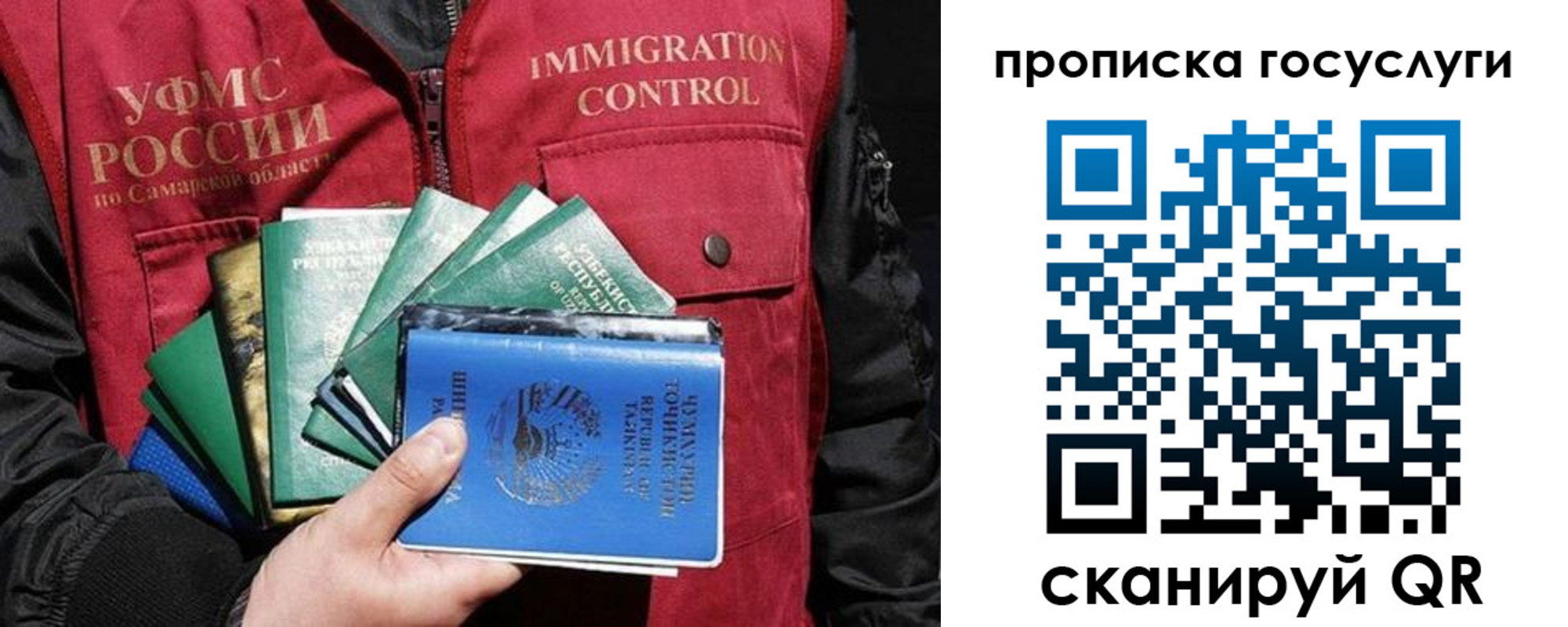 прописка поиск в Волгограде